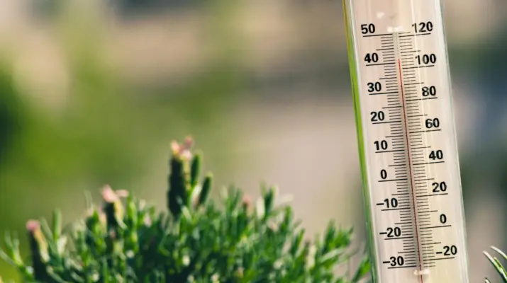 Ein Thermometer vor einem grünen Wiesen Hintergrund