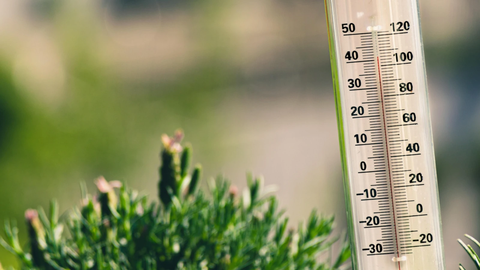 Ein Thermometer vor einem grünen Wiesen Hintergrund