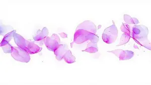 Beitragsbild: Pink Lila Aquarell Blüten