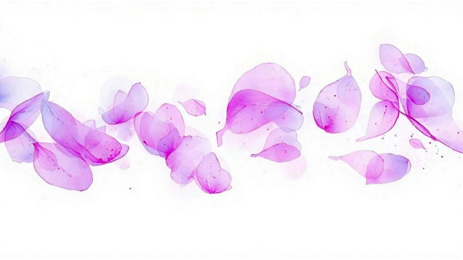 Beitragsbild: Pink Lila Aquarell Blüten