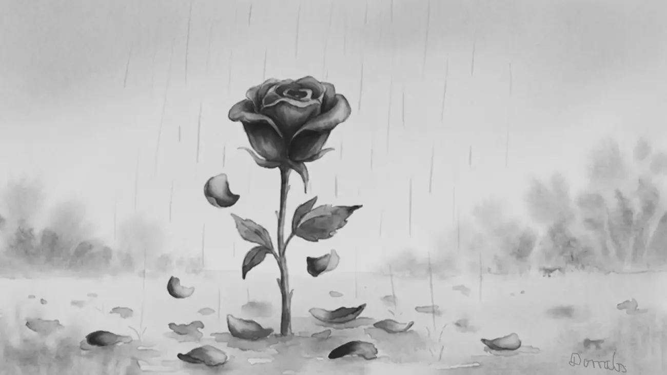 eine einzelne Rose in schwarz-weiß